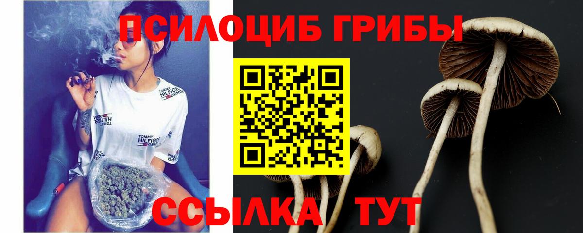 Галлюциногенные грибы Magic Shrooms  Галлюциногенные грибы мицелий  Алушта  Вход с VPN 